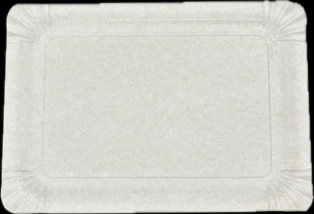 BANDEJA RECTANGULAR 4