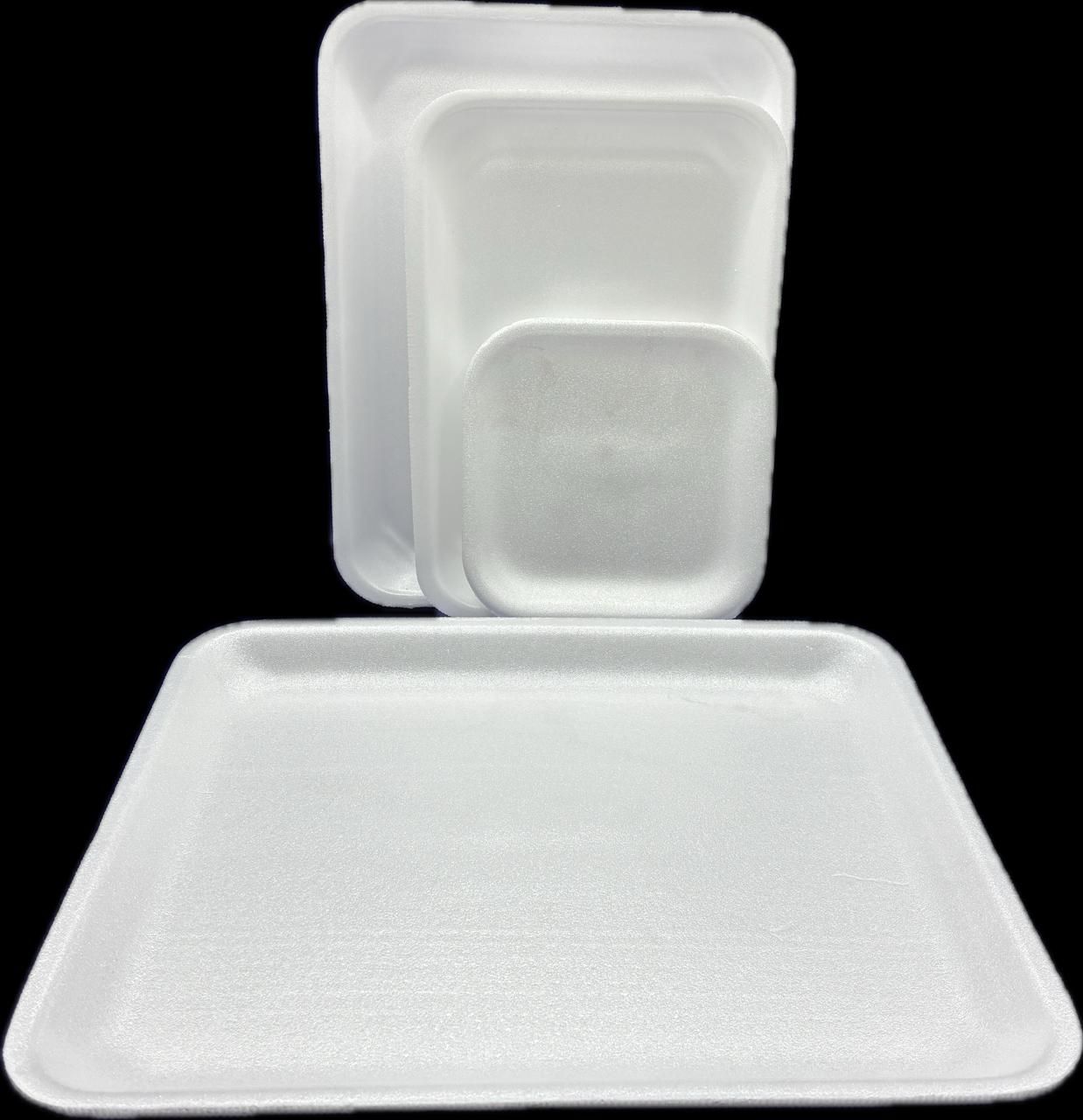 TERMICO BANDEJA S8 10 UN