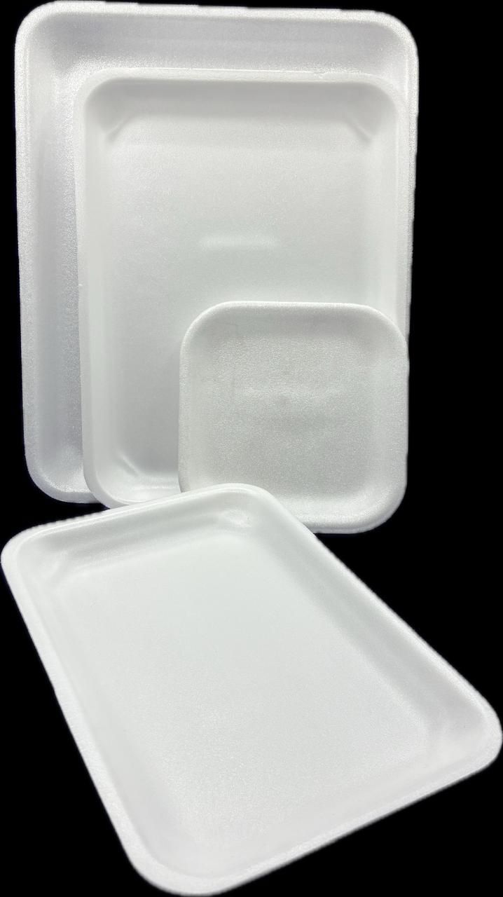 TERMICO BANDEJA S2 10 UN