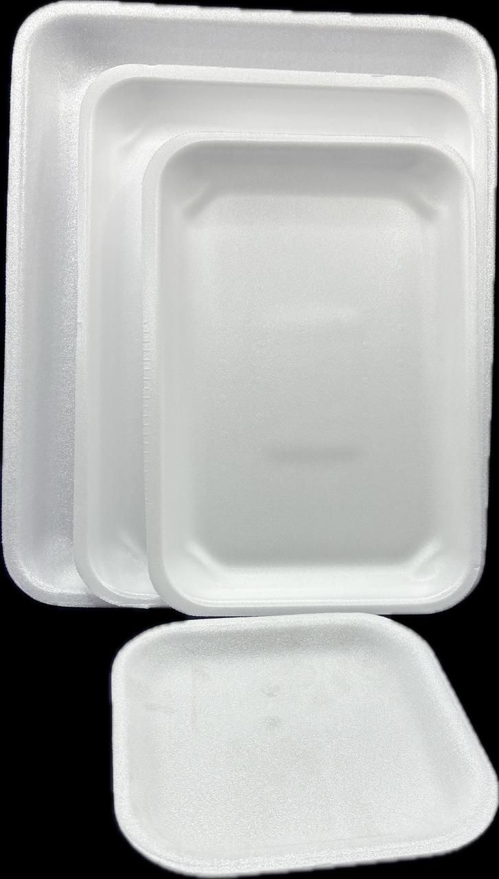 TERMICO BANDEJA S1 10 UN