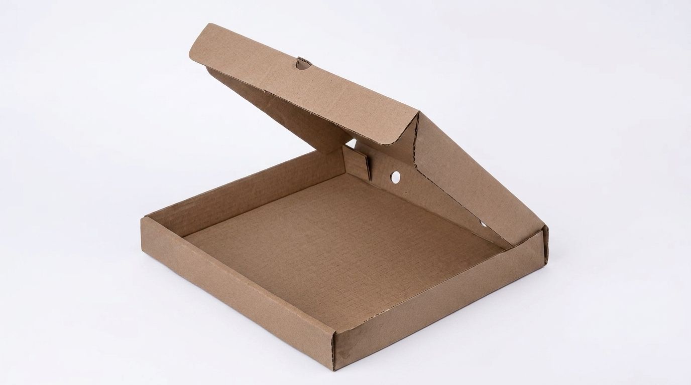 CAJA PIZZA CHICA 25X25 10 UN