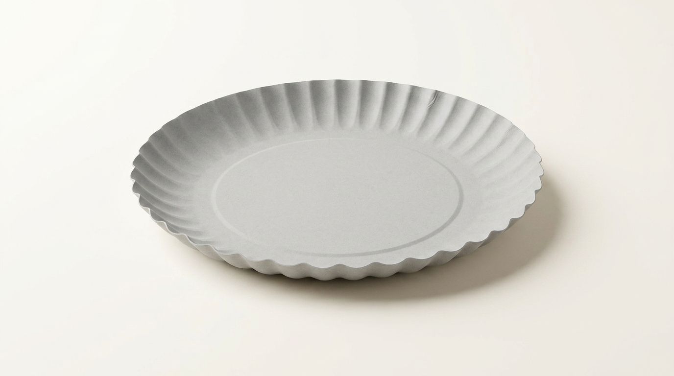 PLATO CARTON 1 100 UN