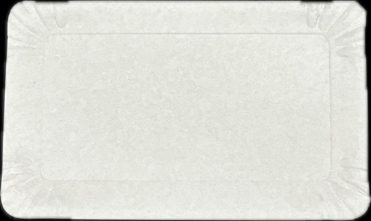 BANDEJA RECTANGULAR 2